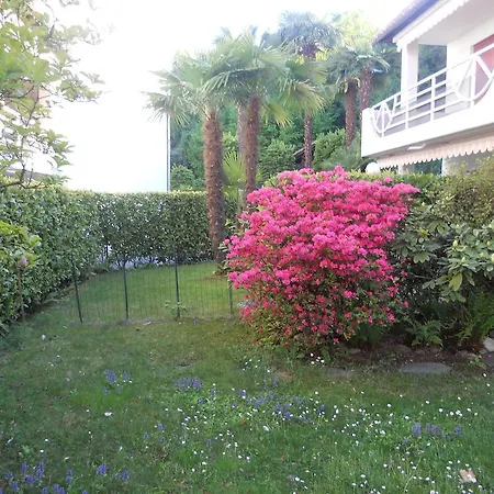 Collina Verde Lejlighed Ascona